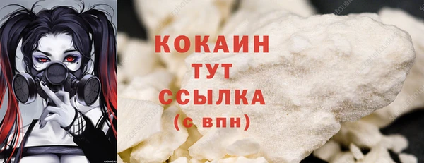 МДПВ Пересвет