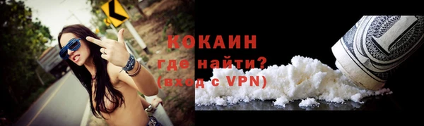 дживик Переславль-Залесский