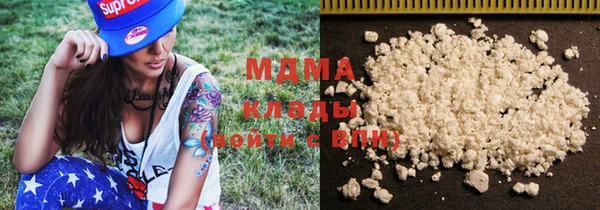 МДПВ Пересвет