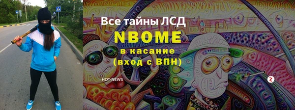 МДПВ Пересвет