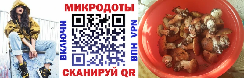 Псилоцибиновые грибы Magic Shrooms  Купить закладки  Сысерть 